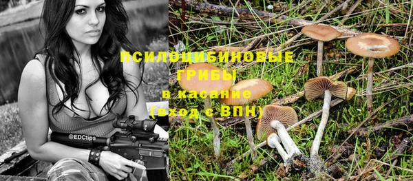 дурь Беломорск